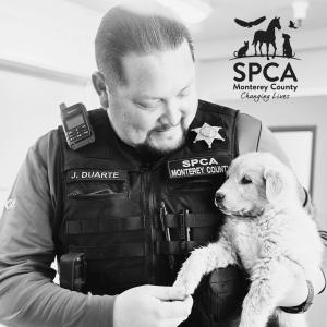 SPCA Stories - Officer Jacob Duarte, Humane Investigations Manager