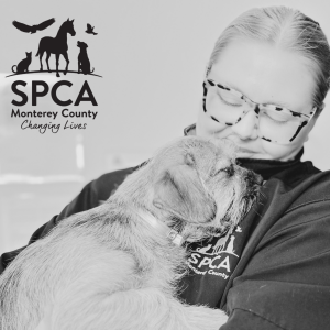 SPCA Stories - UPDATE, LA Wildfires