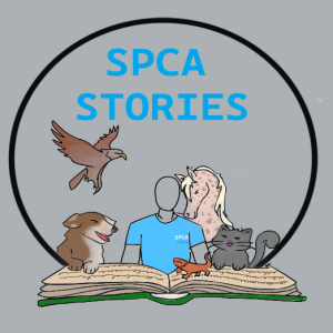 SPCA Stories