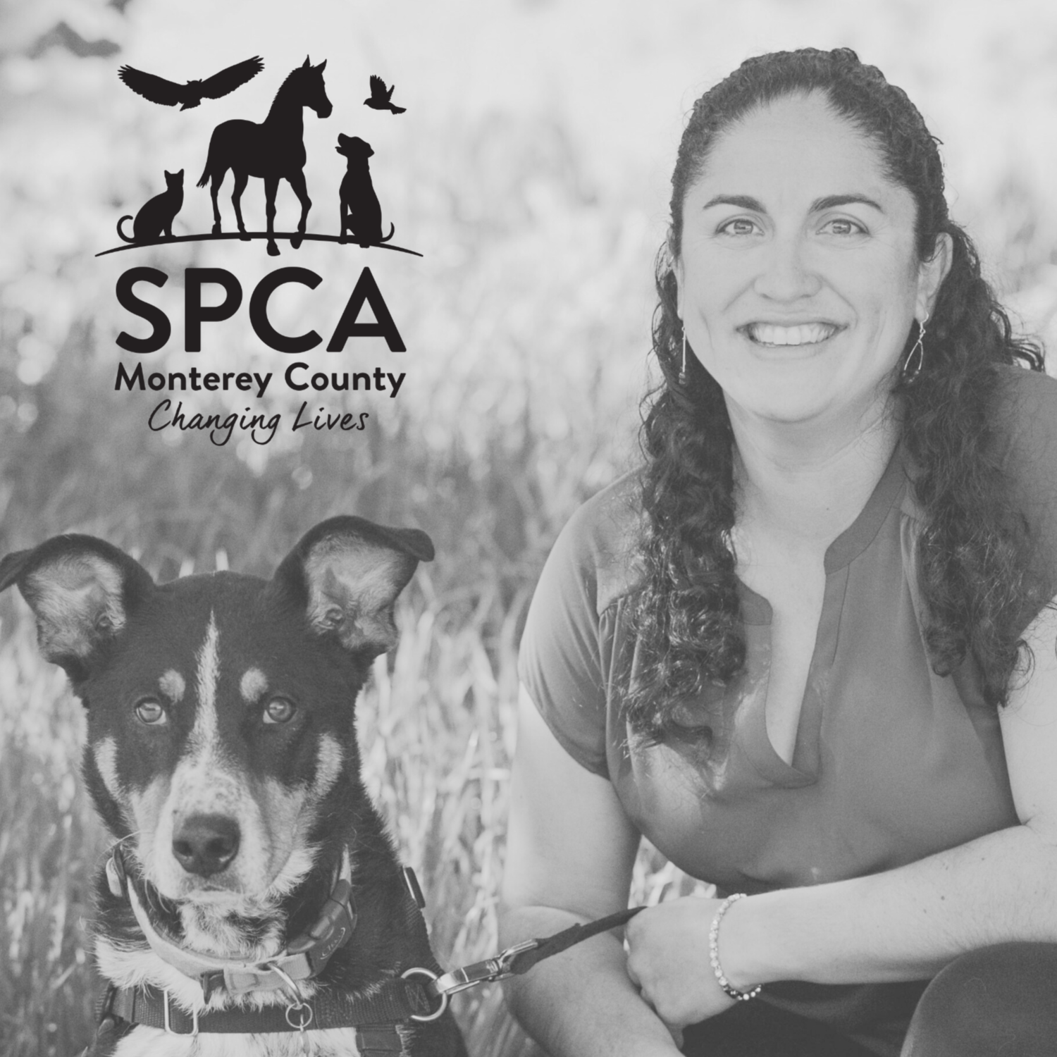 SPCA Stories – Rosanna Isely, Vice President of Operations