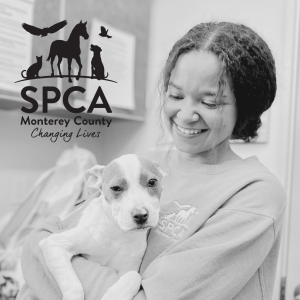 SPCA Stories - Tiana McNair, SPCA Animal Care Specialist
