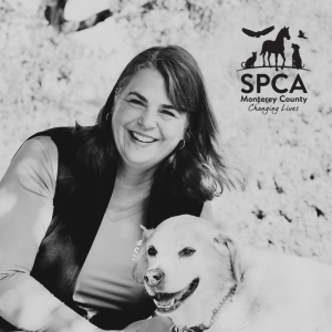 SPCA Stories - Susan Imwalle, Vice President & CFO