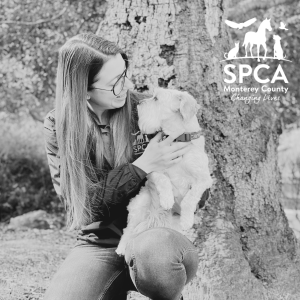 SPCA Stories - Ashley Fessenden, Clinic Practice Manager