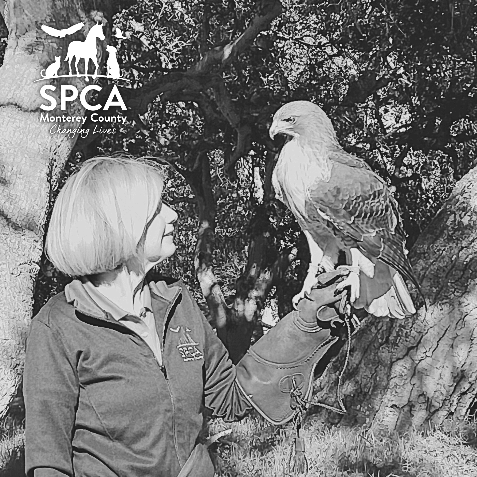 SPCA Stories – Chris Patton, SPCA Wildlife Rescue & Rehabilitation Volunteer