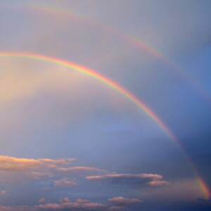 Queer Joy and Community Resilience: Voices from Stanford - Part Two