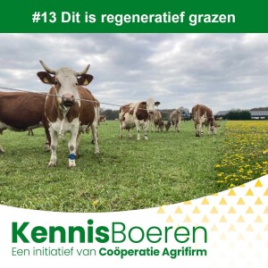 #13 Dit is regeneratief grazen