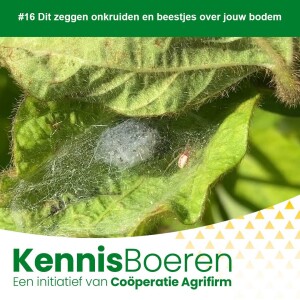 #16 Dit zeggen onkruiden en beestjes over jouw bodem en bodemvoedselweb