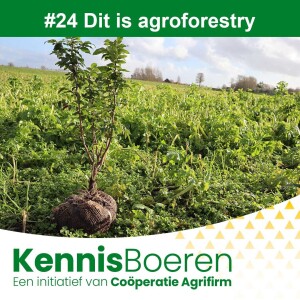 #24 Dit is agroforestry