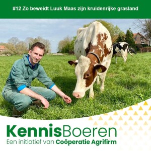 #12 Zo beweidt Luuk Maas zijn kruidenrijke grasland