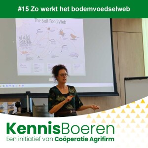 #15 Zo werkt het bodemvoedselweb