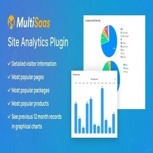 ₹299 - Site Analytics Plugin – MultiSaas – Multi-Tenancy Multipurpose Website Builder (SAAS)