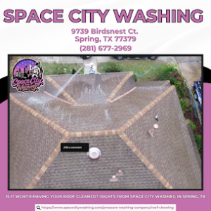 Is it Worth Having Your Roof Cleaned? Insights From Space City Washing in Spring, TX