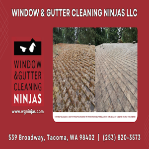 How Do You Clean a Roof Without Damaging it? Window and Gutter Cleaning Ninjas LLC in Tacoma, WA Has the Answer