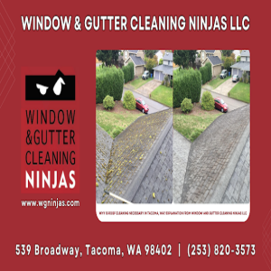 Why is Roof Cleaning Necessary in Tacoma, WA? Explanation from Window and Gutter Cleaning Ninjas LLC