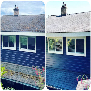 Does Power Washing Damage Roof Shingles? Window and Gutter Cleaning Ninjas LLC in Tacoma, WA Has The Answer