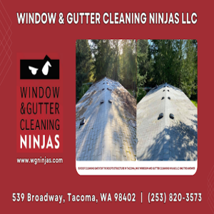 Is Roof Cleaning Safe For the Roof's Structure in Tacoma, WA? Window and Gutter Cleaning Ninjas LLC Has the Answer