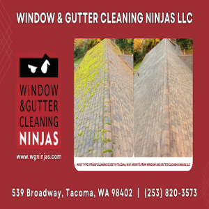 What Type of Roof Cleaning is Best in Tacoma, WA? Insights from Window and Gutter Cleaning Ninjas LLC