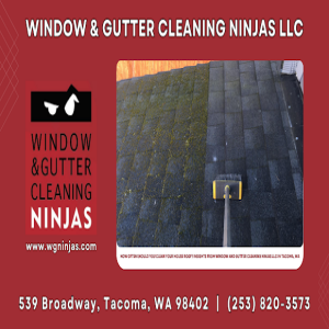 How Often Should You Clean Your House Roof? Insights From Window And Gutter Cleaning Ninjas