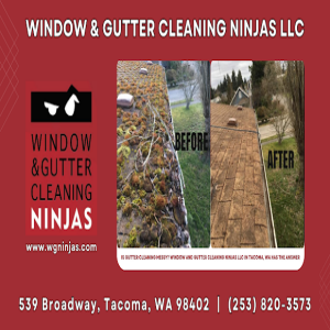 Is Gutter Cleaning Messy? Window and Gutter Cleaning Ninjas LLC in Tacoma, WA Has the Answer