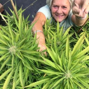 Pam Staley Making An Impact and Changing People’s Lives