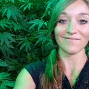 Helping Massachusetts Navigate Hemp Curative Legislation