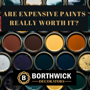 Are Expensive Paints Really Worth It?