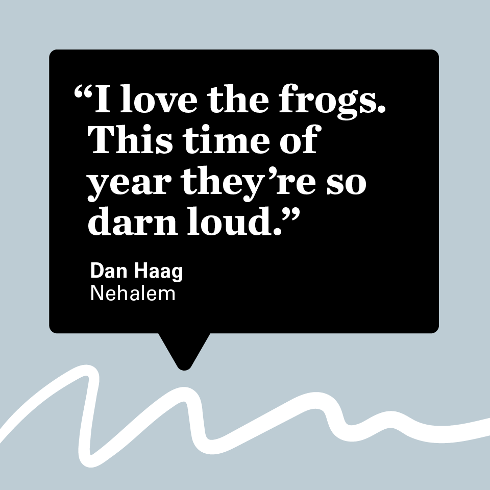 Dan Haag in Nehalem