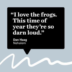Dan Haag in Nehalem