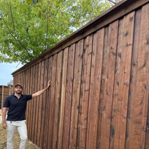 Fence Staining