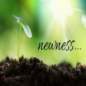 Newness - Pt. 1