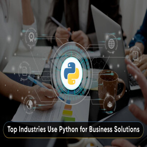 Pythons Rolle in Top-Branchen