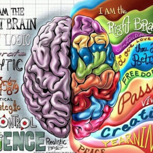 Left Brain/ Right Brain - Exercise Your Brain with 2 POVs