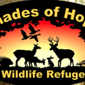 #Dogstarz -How you can help Shades of Hope Wildlife Refuge