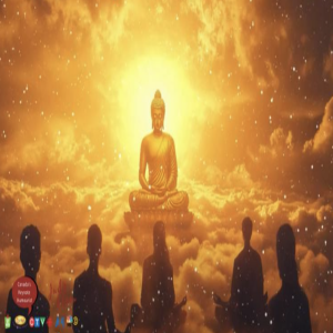 Mindfulness and The Second Arrow