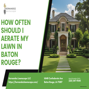 How often should I aerate my lawn in Baton Rouge?