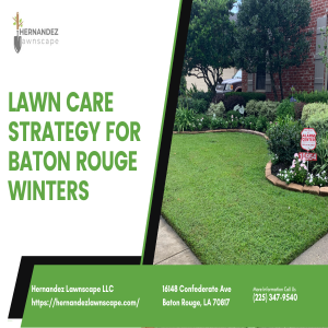 Lawn Care Strategy for Baton Rouge Winters