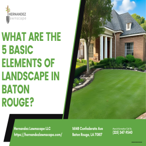 What are the 5 basic elements of landscape in Baton Rouge?