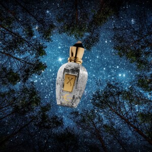 Whispers in the Night Sky