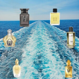 Scents That Seduce 6 Fragrances Every Man Should Own