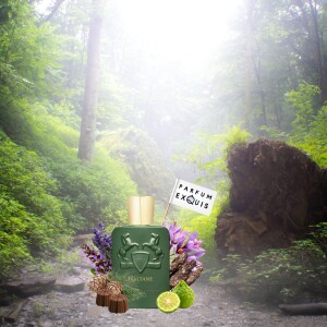 Haltane A Scent That Speaks in Stories