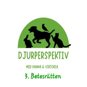 3. Betesrätten