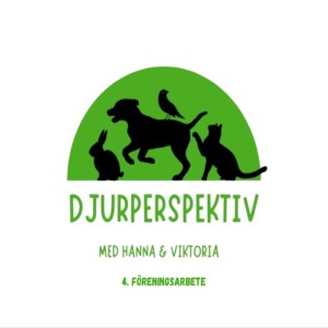4. Föreningsarbete