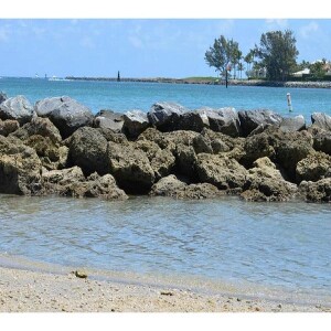 #IAMRIVERABEACH: Edward Walker, MASTER FISHERMAN Ann McNeill, Dan Calloway, Steve White Ep42