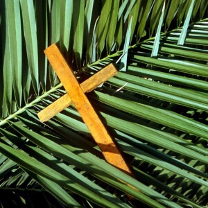 Palm Sunday Reflection