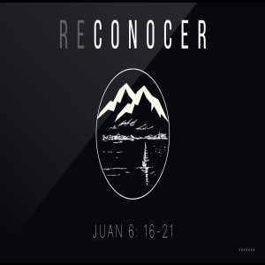 Reconocer | 14 El caos del anochecer