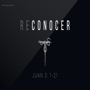 Reconocer | 5 Serpientes