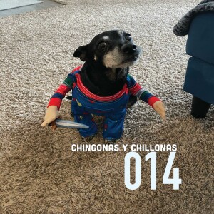 ¿Mascotas… mascotas? Yes, pets