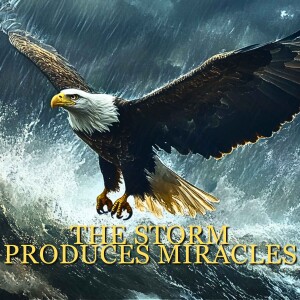 The Storm Produces Miracles