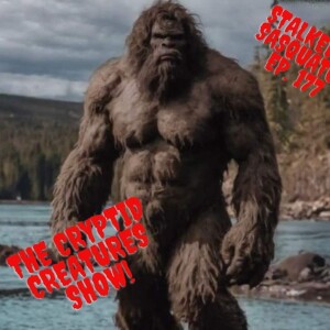 Stalked by Sasquatch! EP. 177