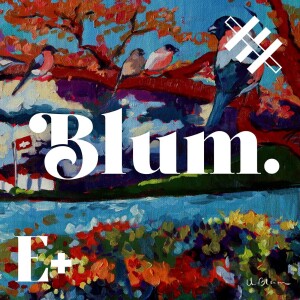 BONUS: Cómo se hizo Blum